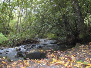 Mingus Creek