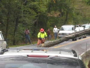 A park ranger cutting a fallen tree into more manageable sections to clear the road.