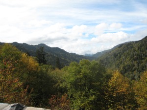 Fall color starting to brighten up the Smokies.