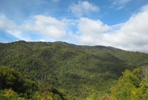 Another view from along Newfound Gap Road.